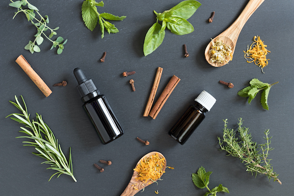 Espace nature à Niort